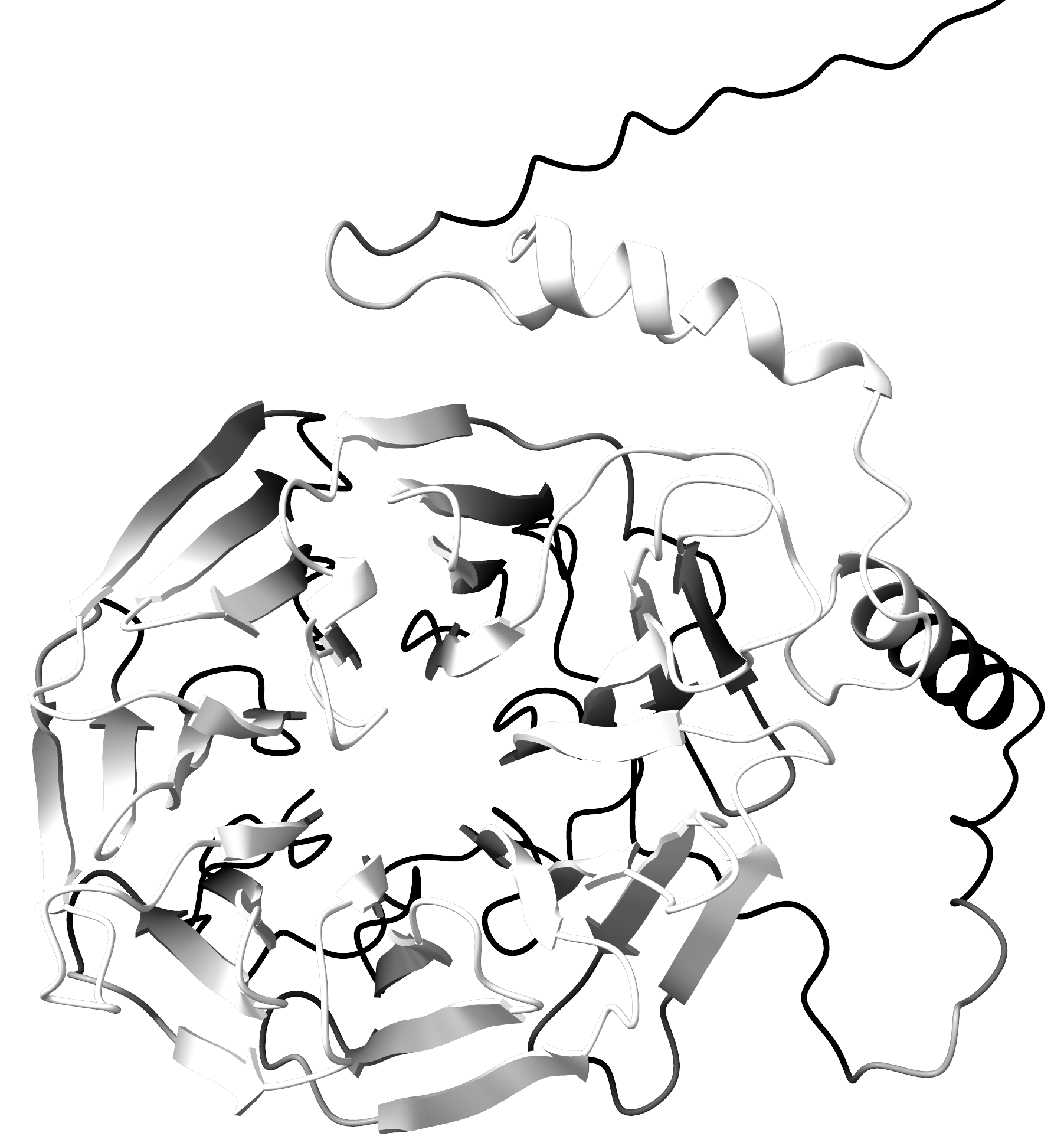 Protein Structure